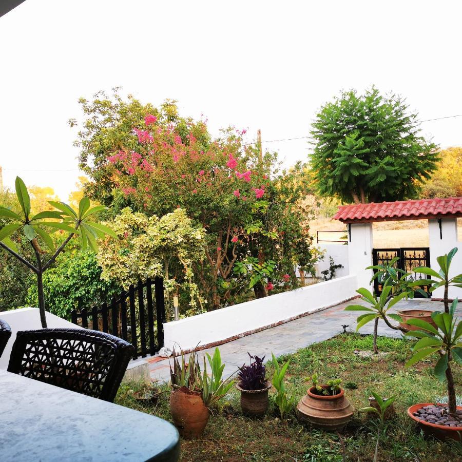 Villa Irene Kos-stad Buitenkant foto