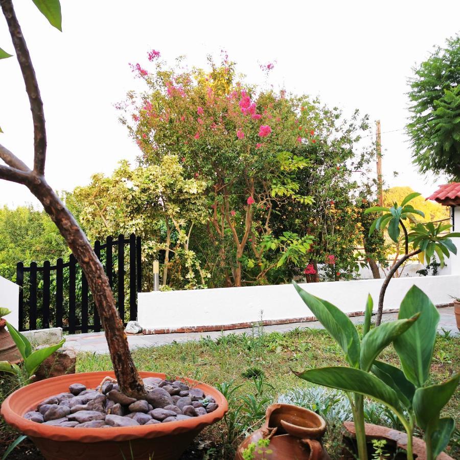 Villa Irene Kos-stad Buitenkant foto