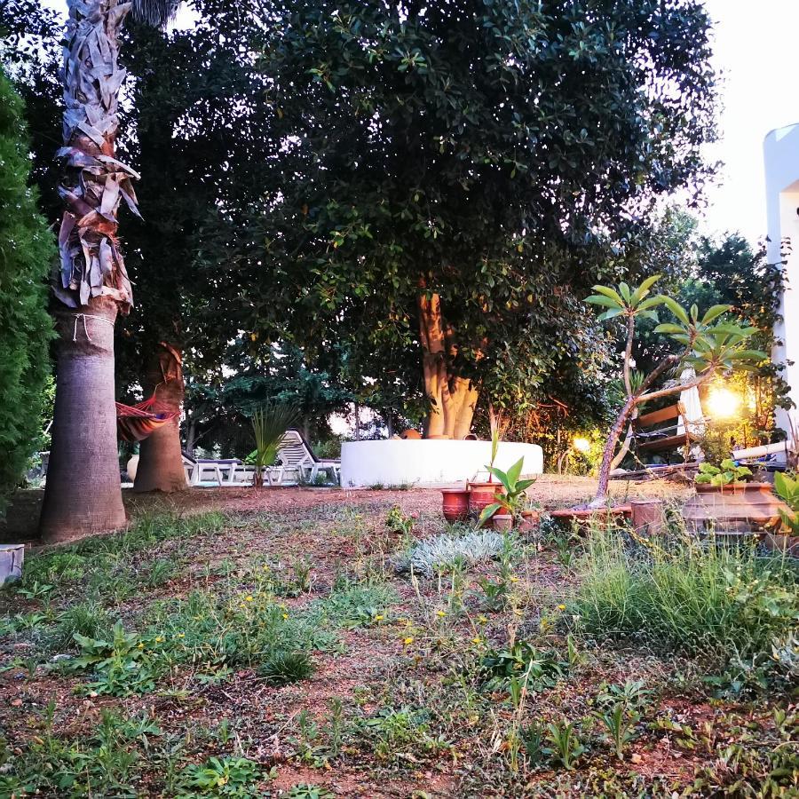 Villa Irene Kos-stad Buitenkant foto
